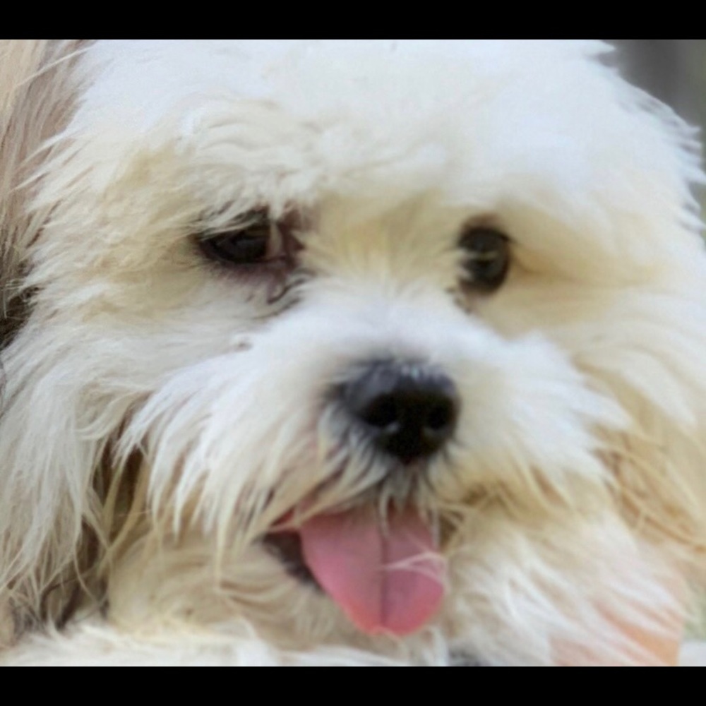 Meet your Posher, Chanda